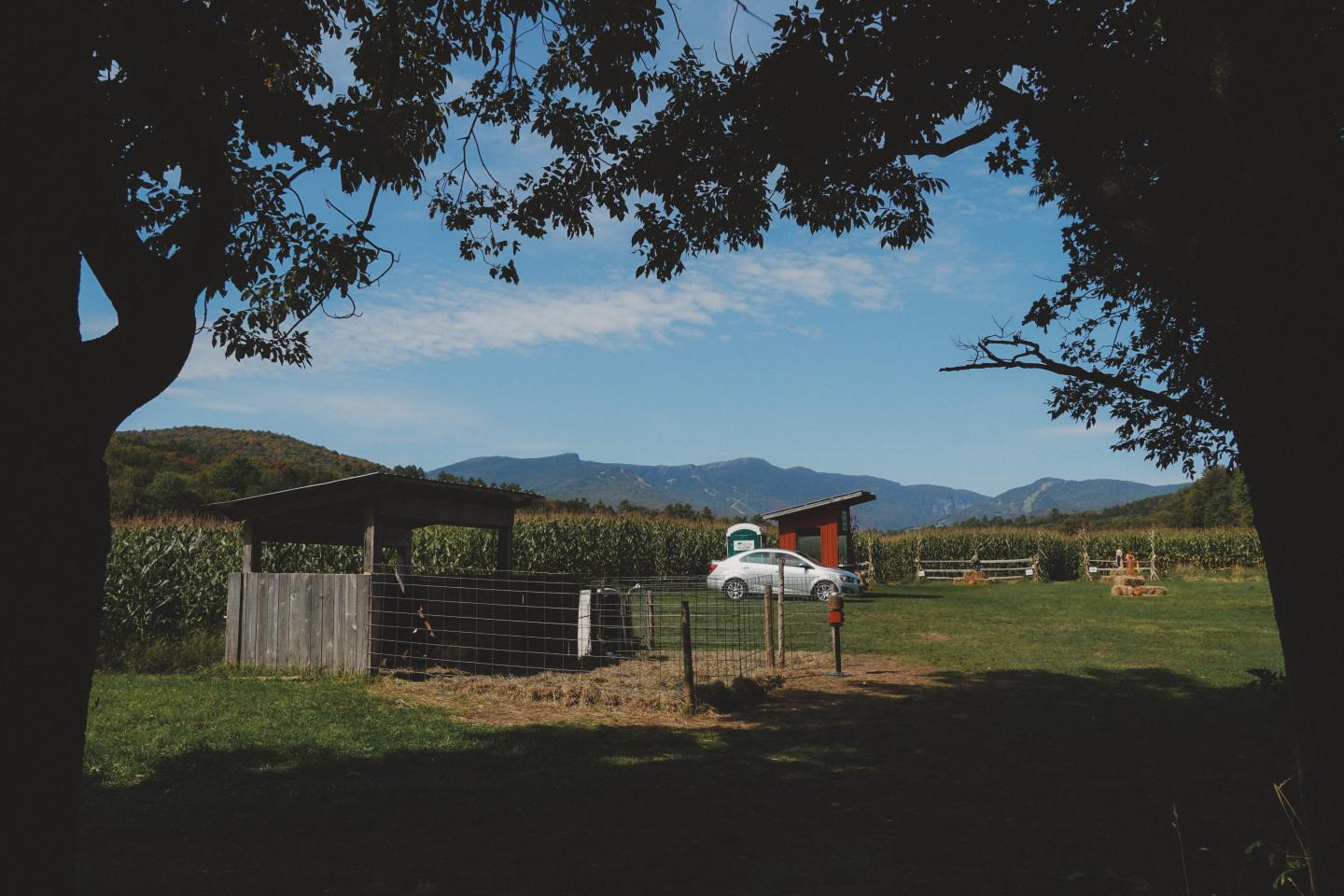 Farm scene framed by trees, with mountains in the background under a blue sky.
