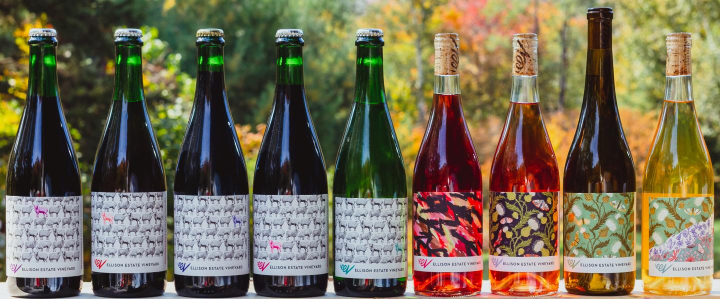 Nine colorful wine bottles with leafy background.