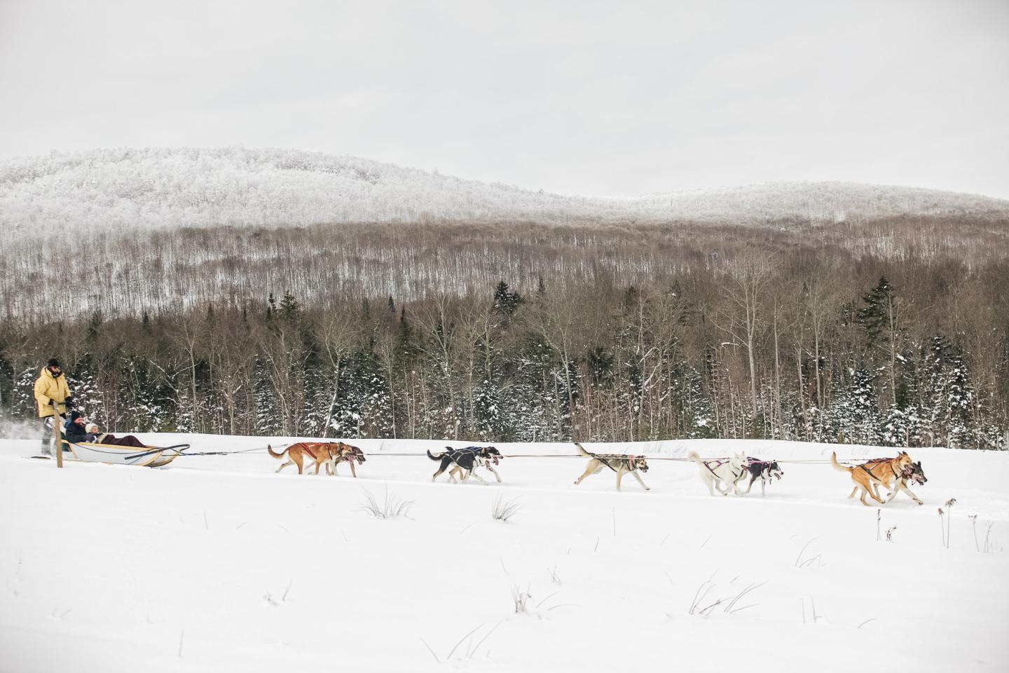 Dog sled team pulling sled through snowy landscape with forested hills in the background.