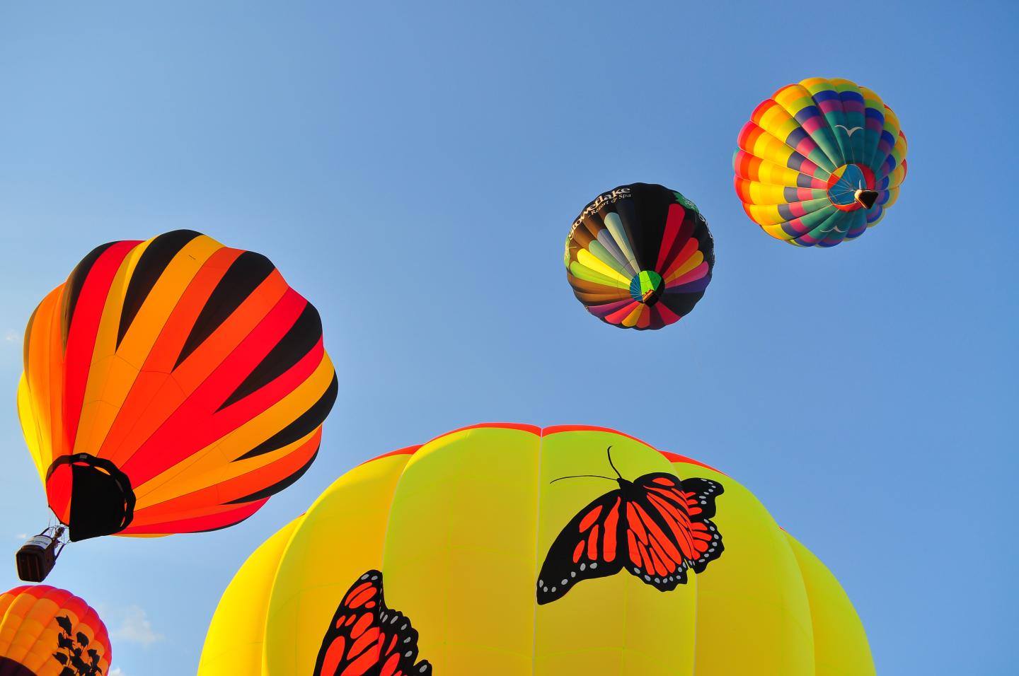Colorful hot air balloons in a blue sky, with butterfly designs.