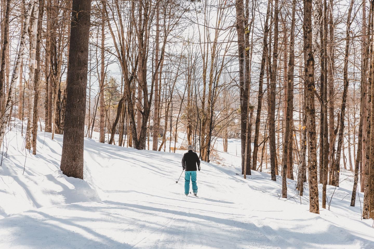 Person skiing through a snowy forest trail.