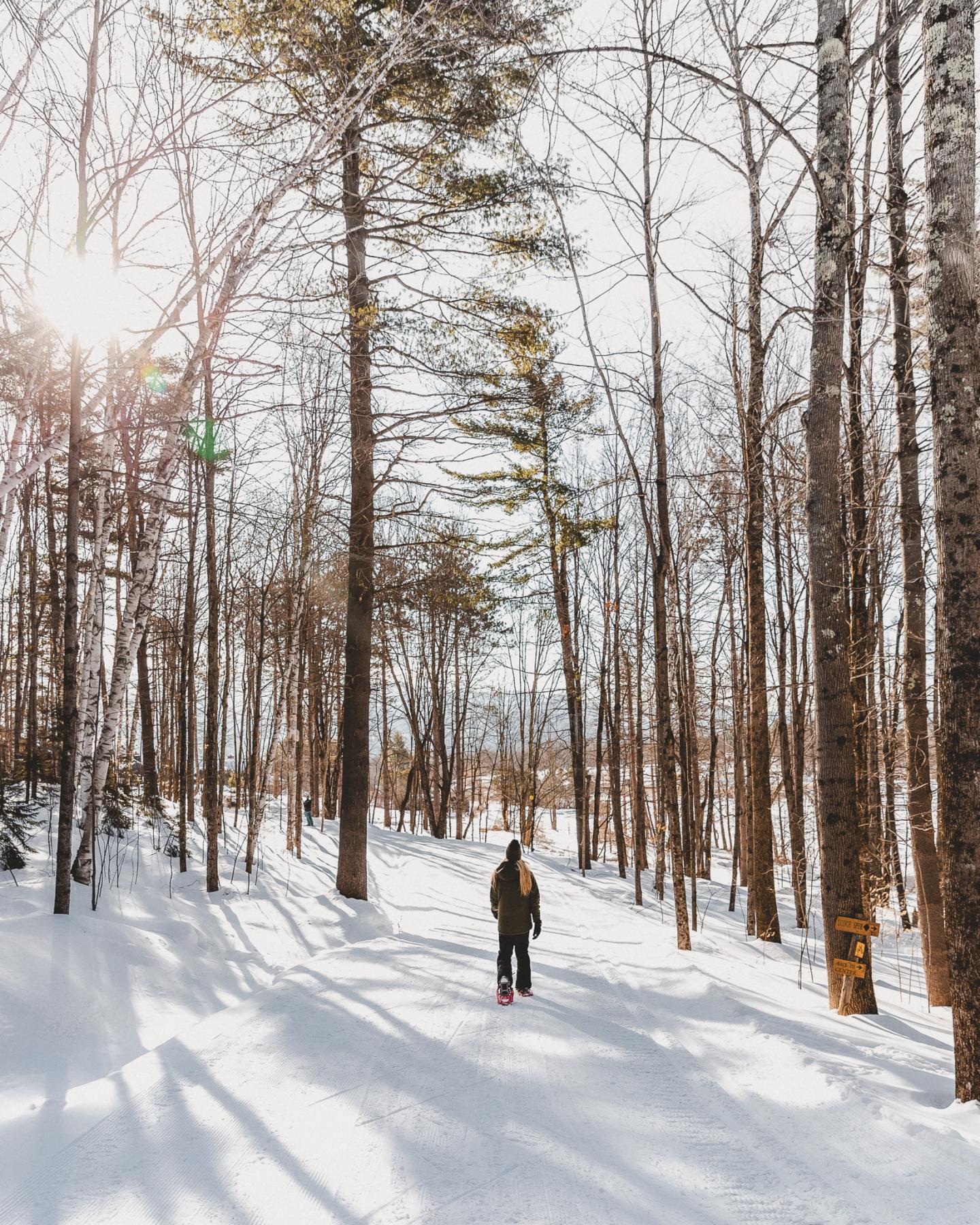 Person walks on a snowy forest path with sunlight streaming through trees.
