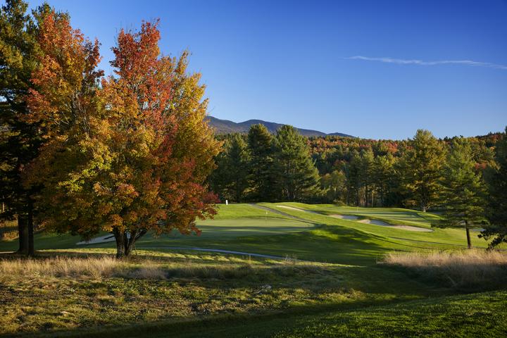 Autumn trees by a golf course under a clear blue sky.