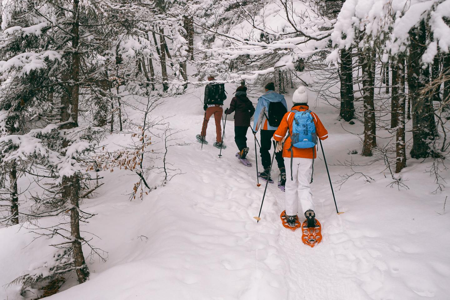 People snowshoeing through a snowy forest.