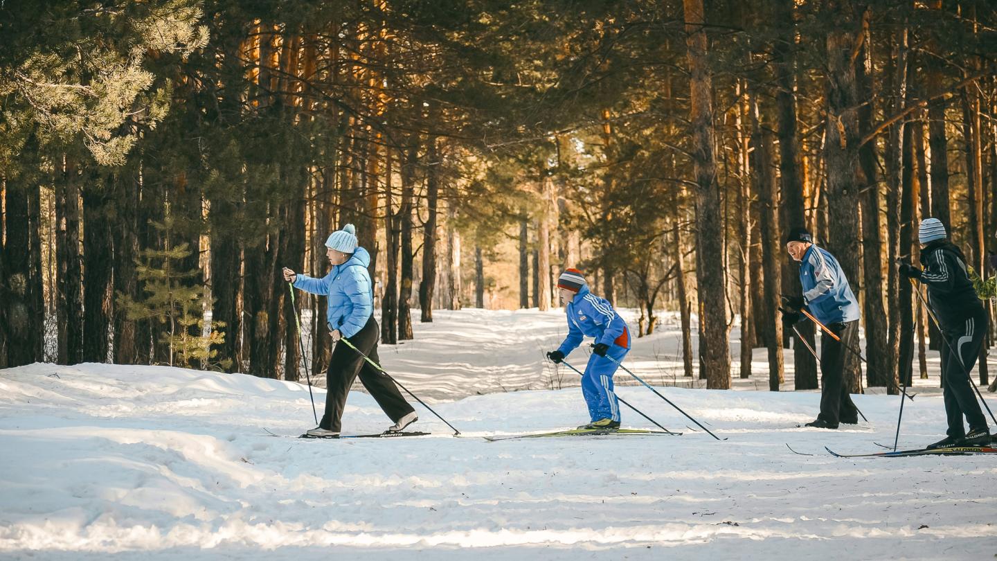 Four people cross-country skiing through a snowy forest.