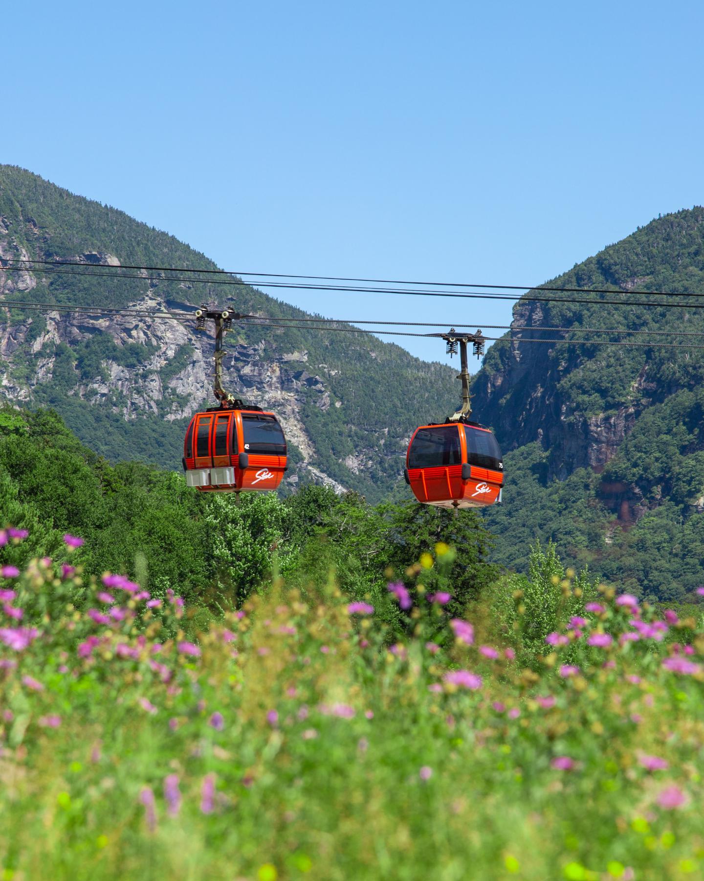 Two red Gondola cabins above a lush green landscape with mountains in the background.