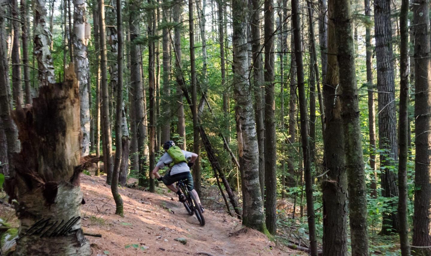 4 Points Tours: Mountain Biking