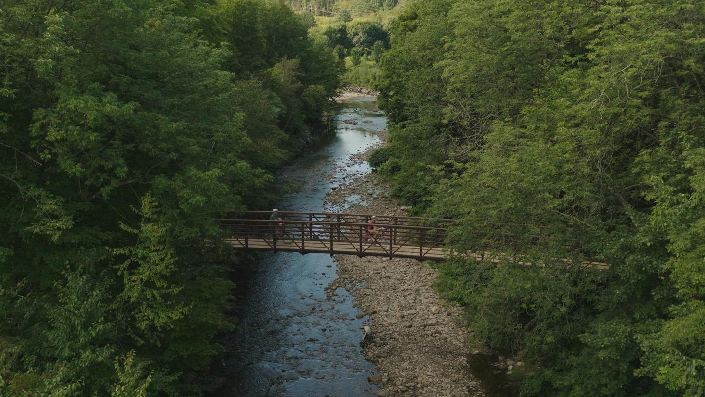 Bridge over a forest creek with lush green trees on both sides.