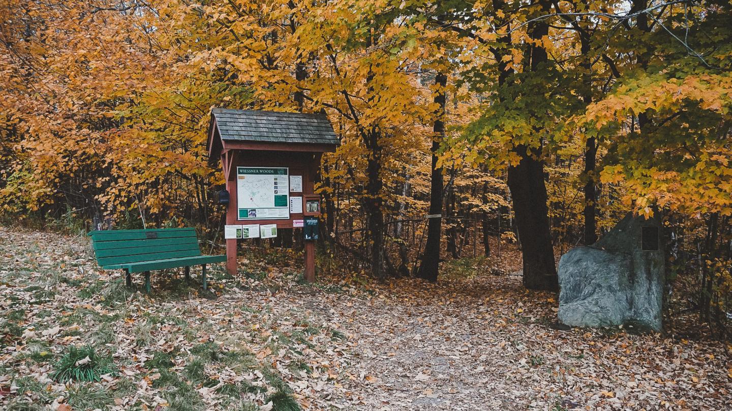 Trail entrance with green bench, surrounded by fall foliage.