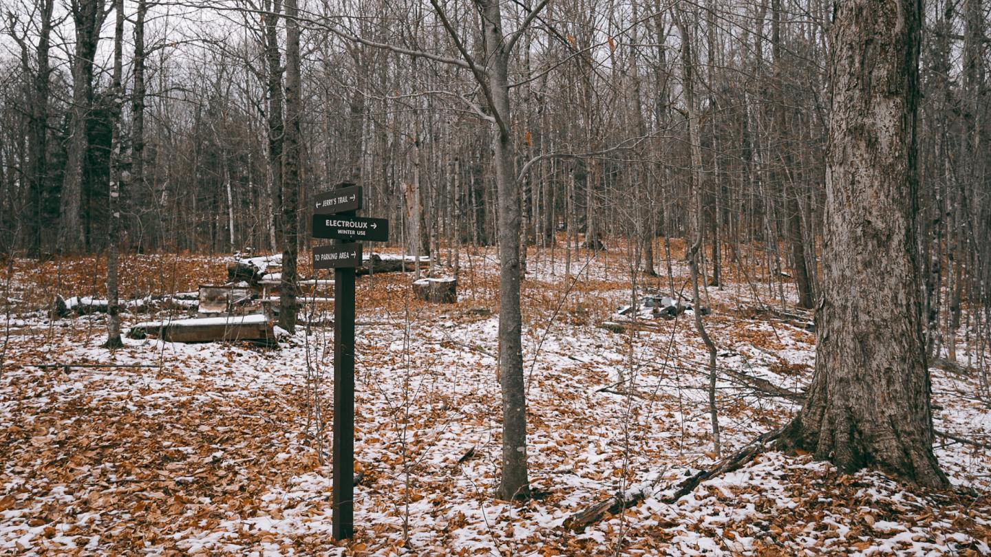 Snow-dusted forest with a trail sign among bare trees.