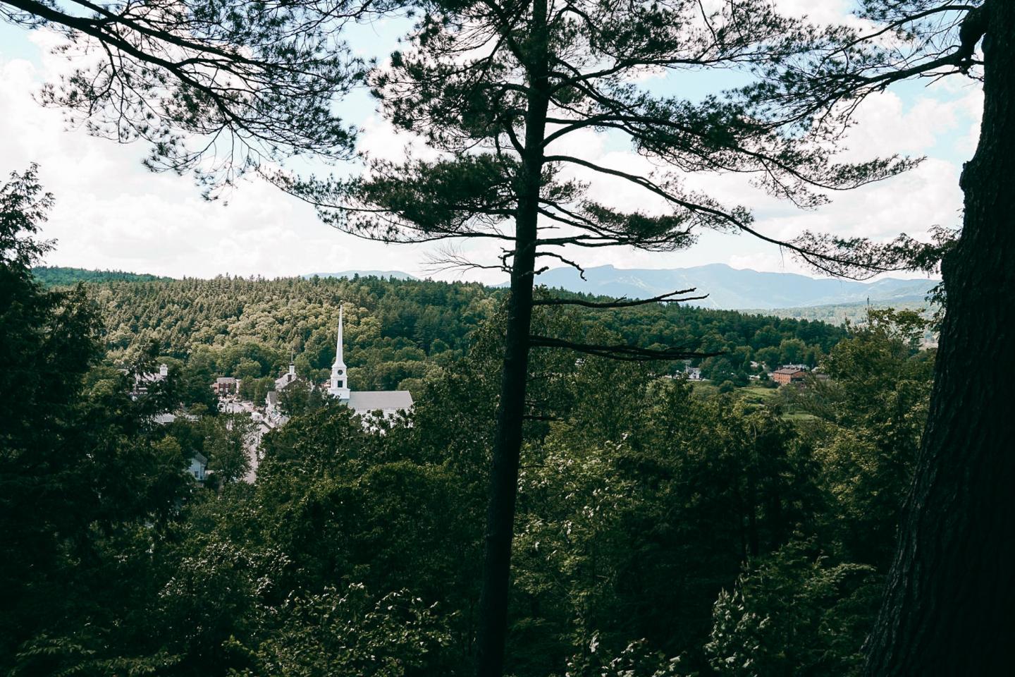 Forest view with distant church spires and mountains.