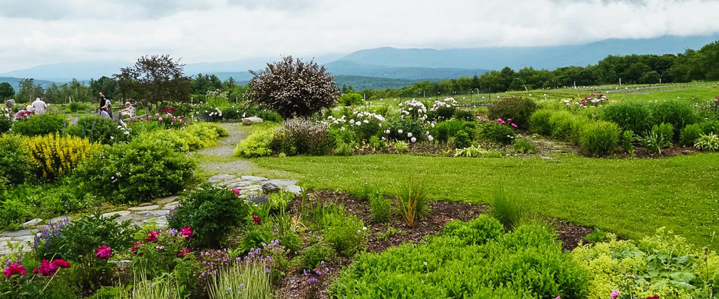 Lush garden with vibrant flowers, green shrubs, and distant mountains under a cloudy sky.