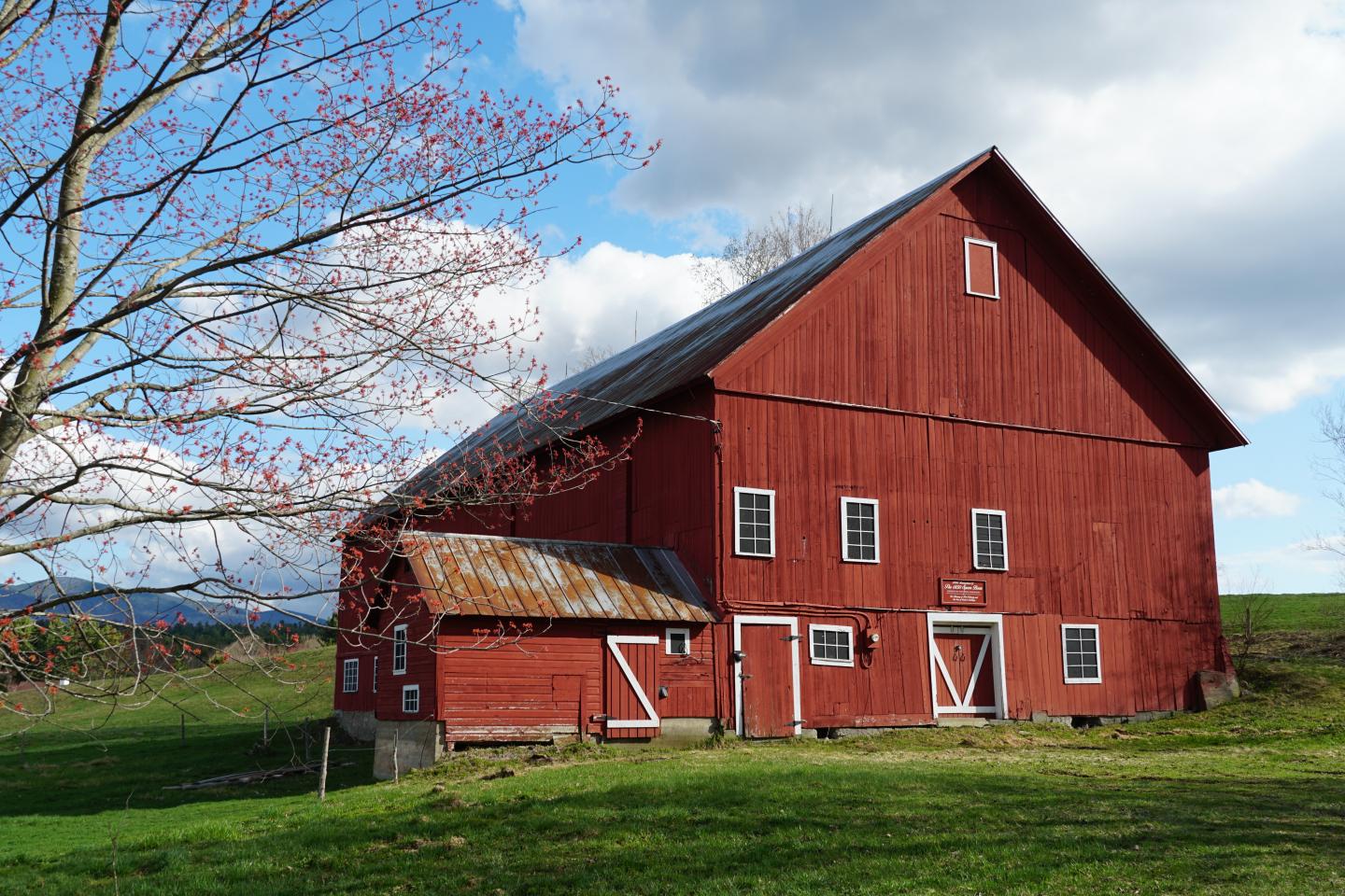 Red barn on a sunny day with green grass and a tree nearby.