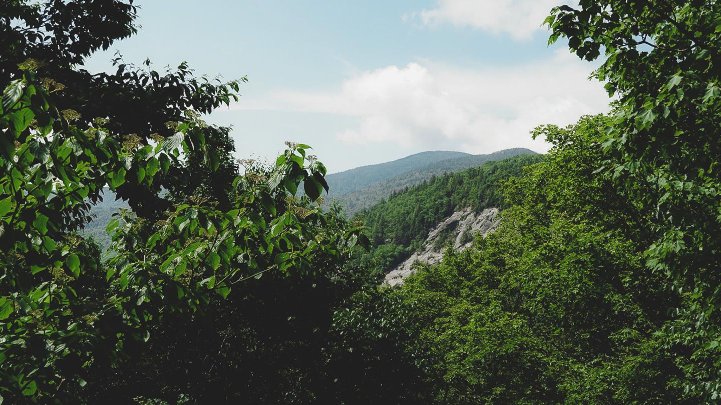 Mountain view with lush green trees and a cloudy sky.