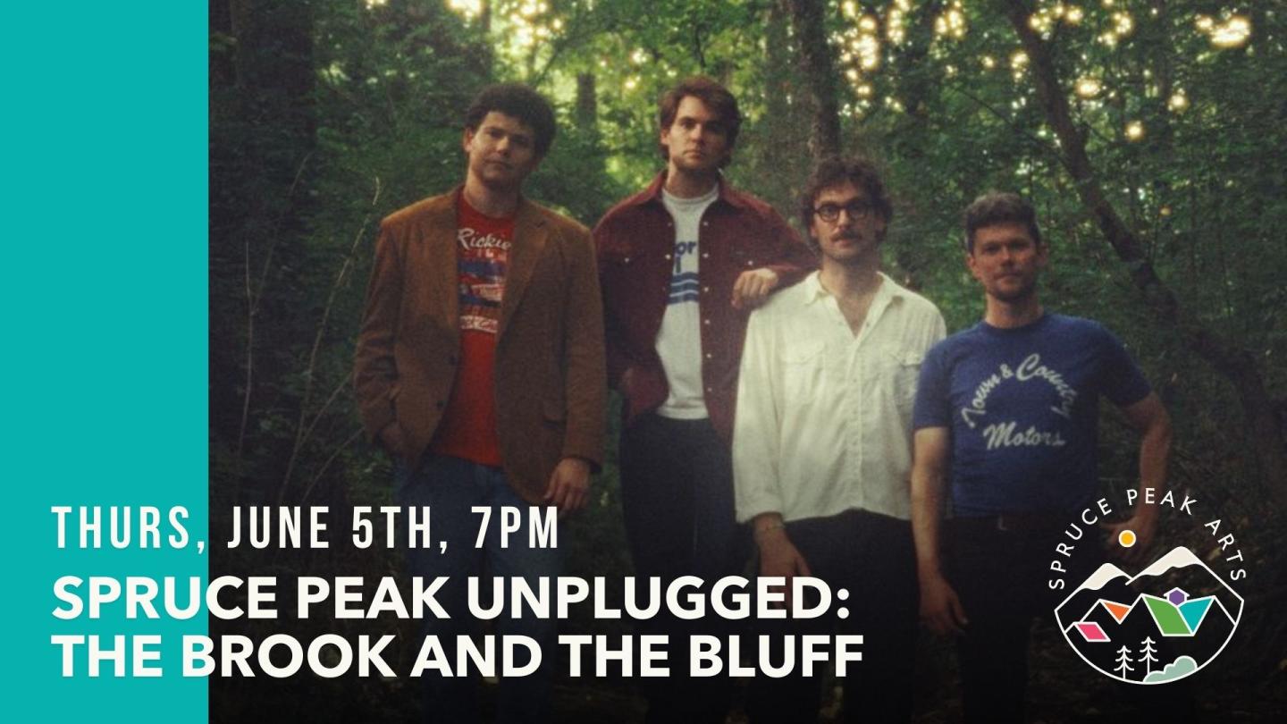 The Brook and The Bluff