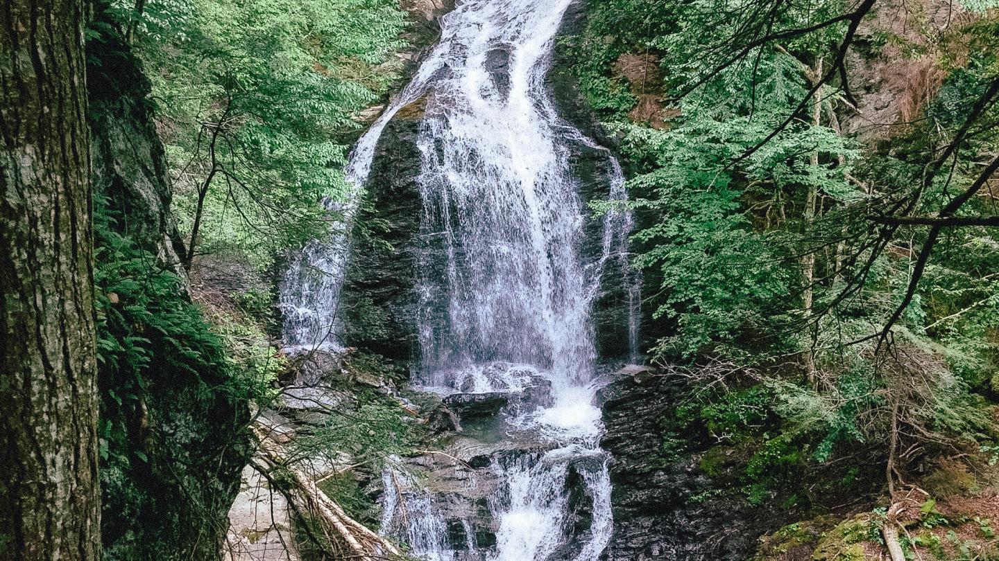 Waterfall cascading through lush forest greenery.