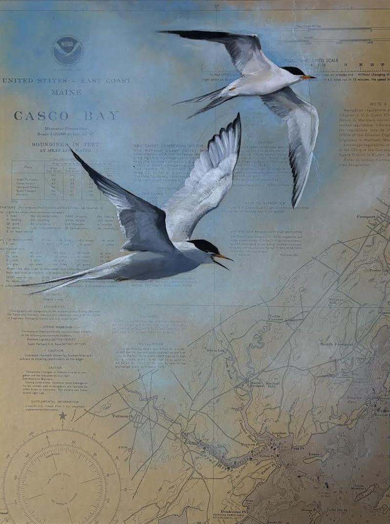 Two birds soaring over a nautical map with a blue and beige gradient background.