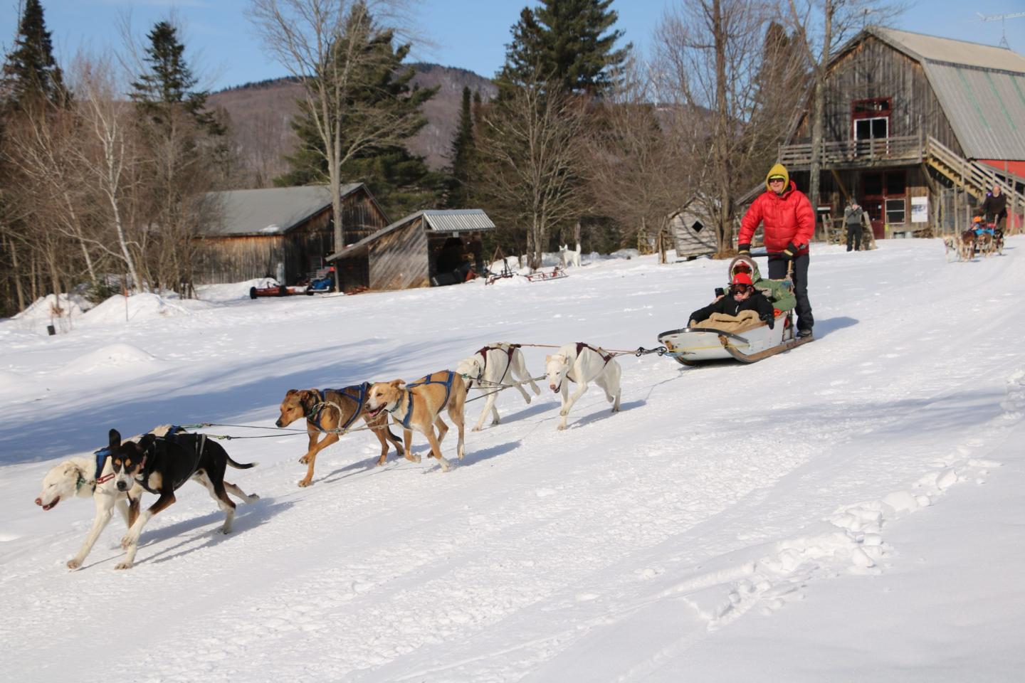 Eden Ethical Dogsledding
