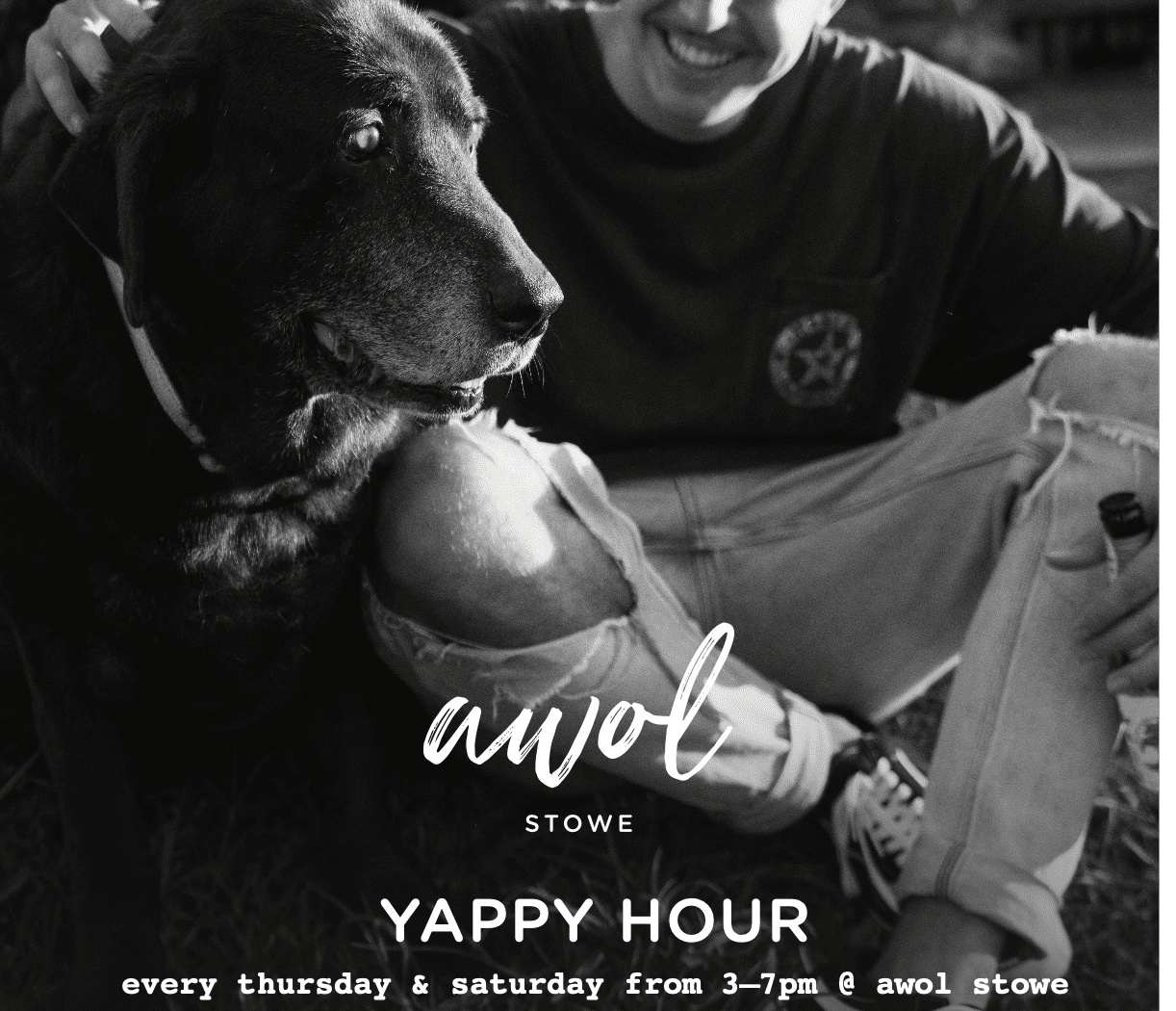 Yappy Hour at Awol Stowe