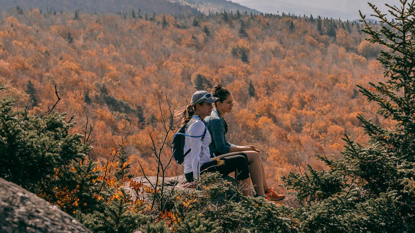 Two people sitting on a rock, overlooking a forest with autumn foliage.