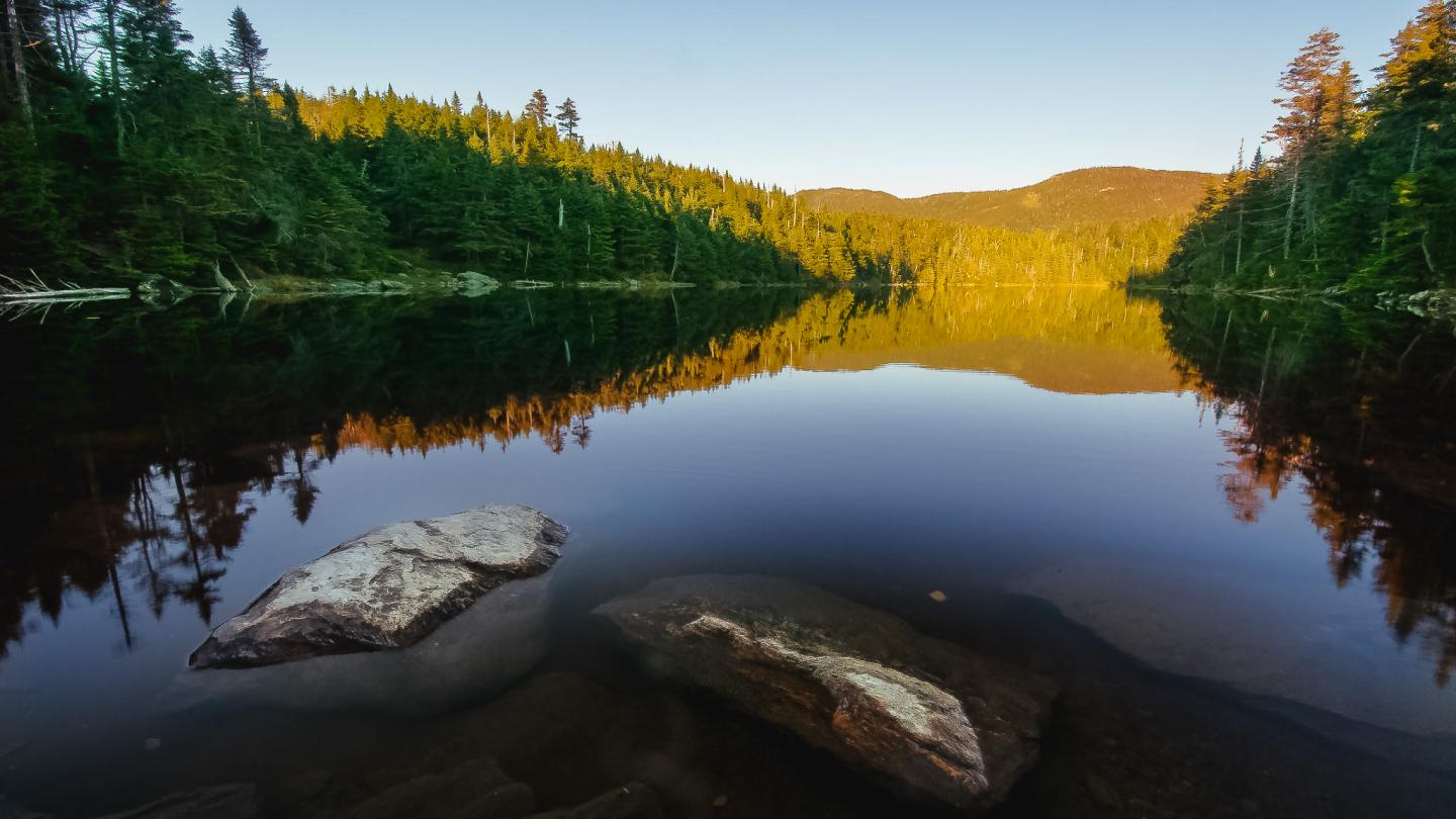 Calm lake reflecting trees and sunset, rocks in the foreground.