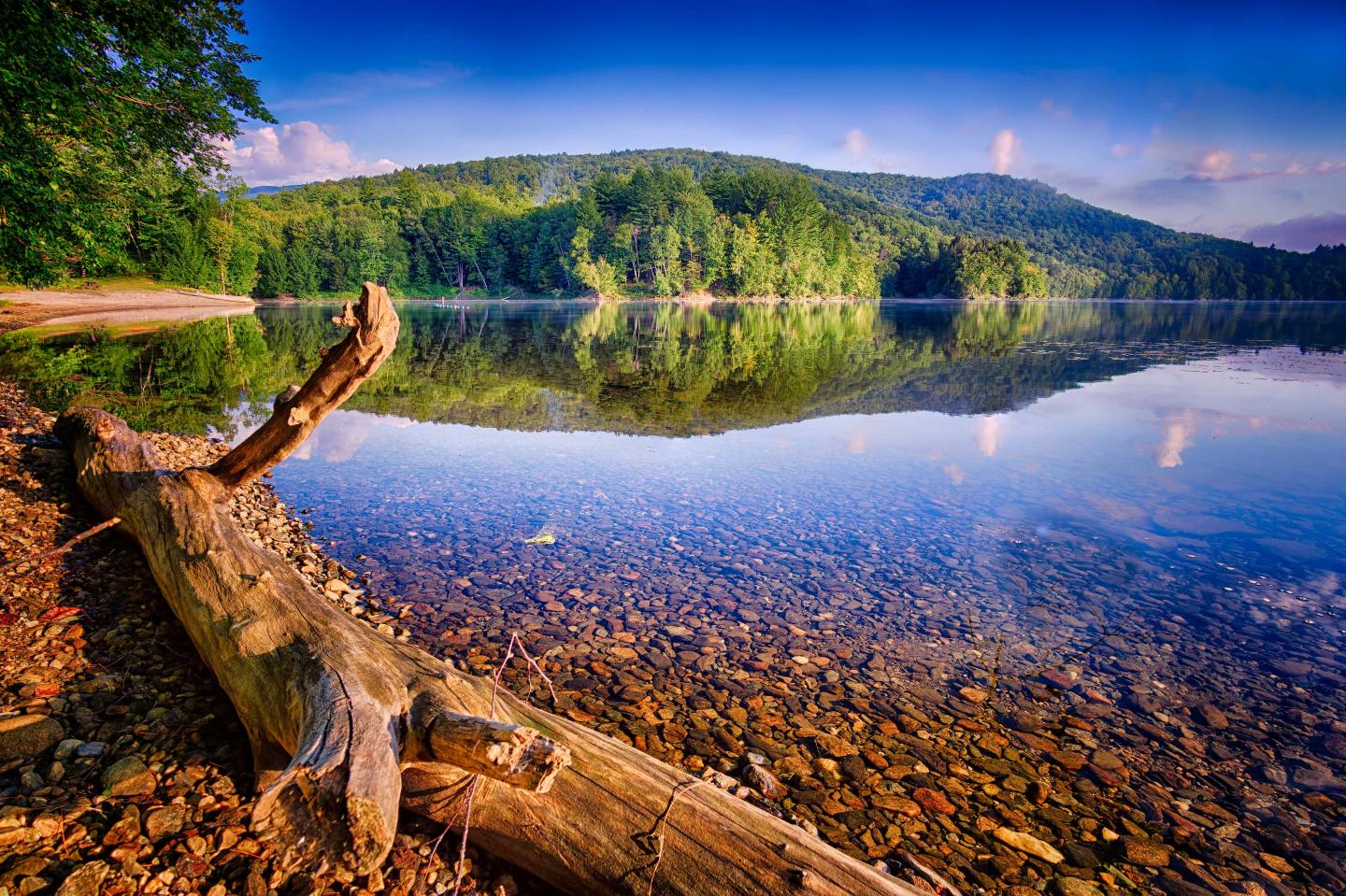 Calm lake with clear reflection of green hills, blue sky, and a large fallen tree trunk.