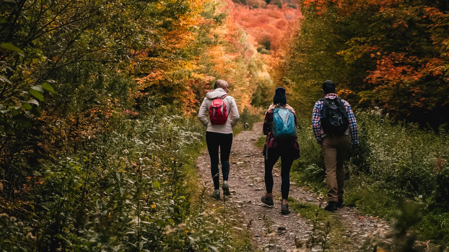 Three people hiking on a trail surrounded by autumn foliage.