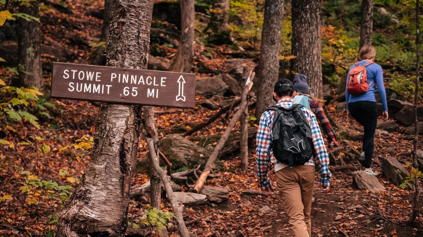 Hikers with backpacks walk through a forest in autumn.