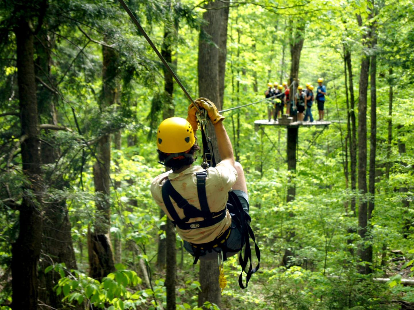 ArborTrek Canopy Adventures