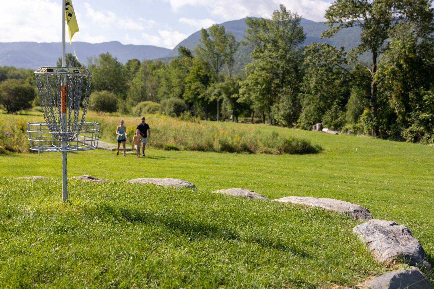 Disc golf course with basket, lush green grass, and distant mountains.