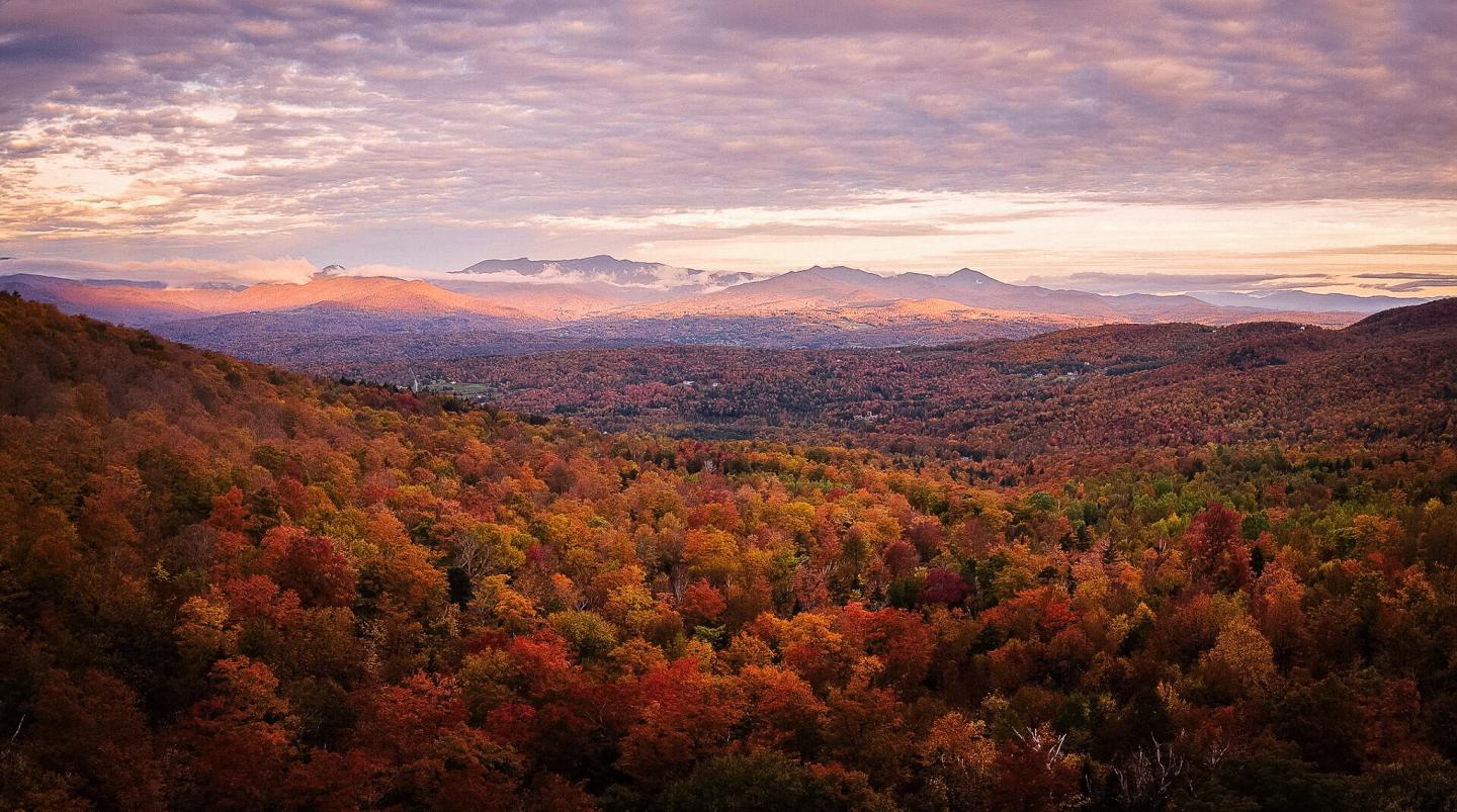 Autumn forest landscape with vibrant red and orange foliage under a cloudy sky.