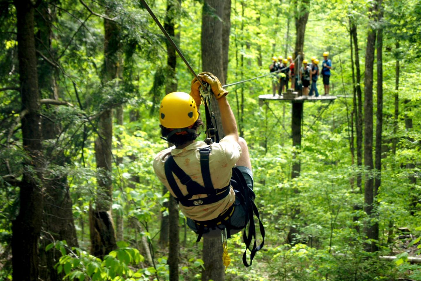 Person ziplining through a lush green forest towards a group on a platform.