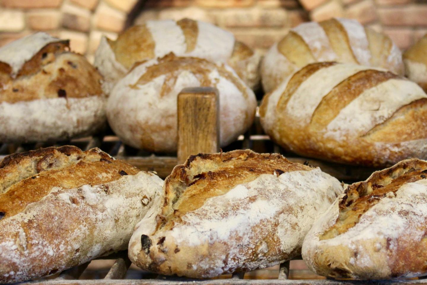 Freshly baked artisan breads on a cooling rack.