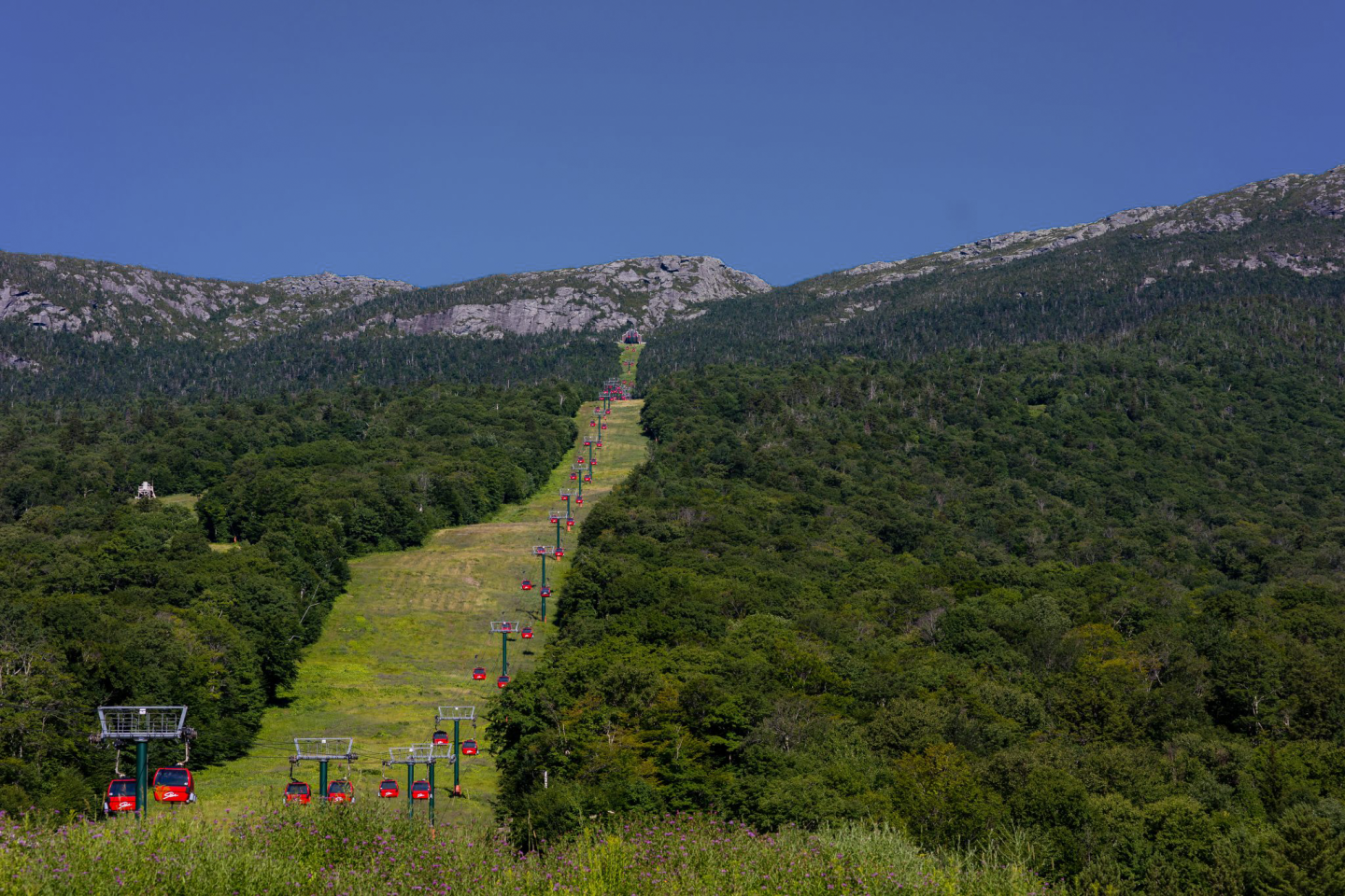Gondolas ascending a lush green mountain under a clear blue sky.