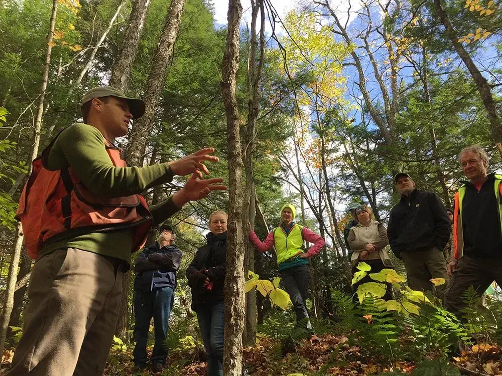 Forester talking to a group under the tree canopy and clear blue sky.