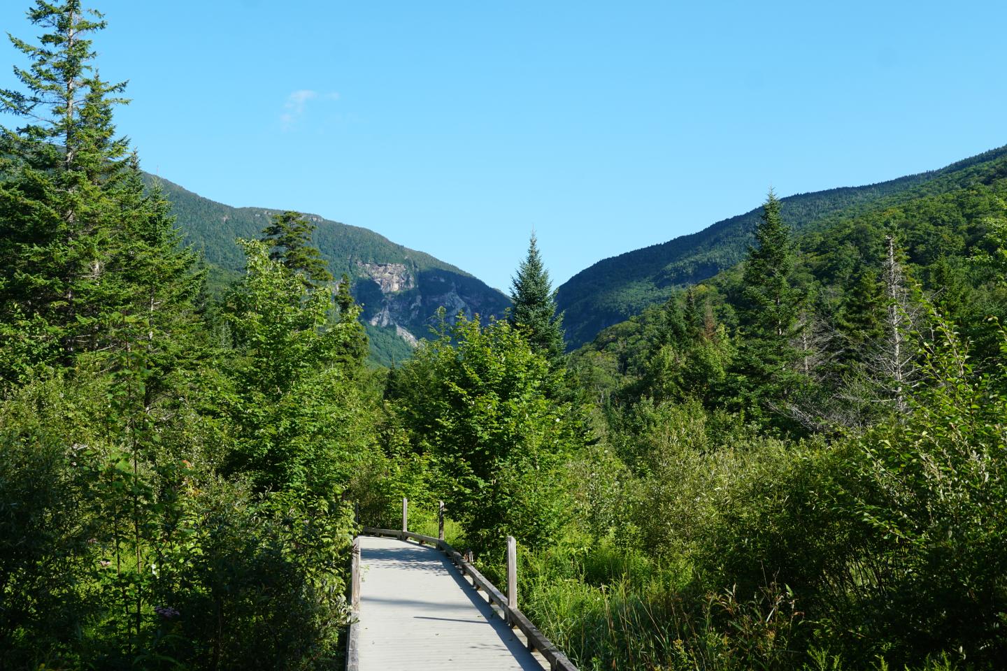 Boardwalk through lush green forest under blue sky with Smugglers' Notch in the background..