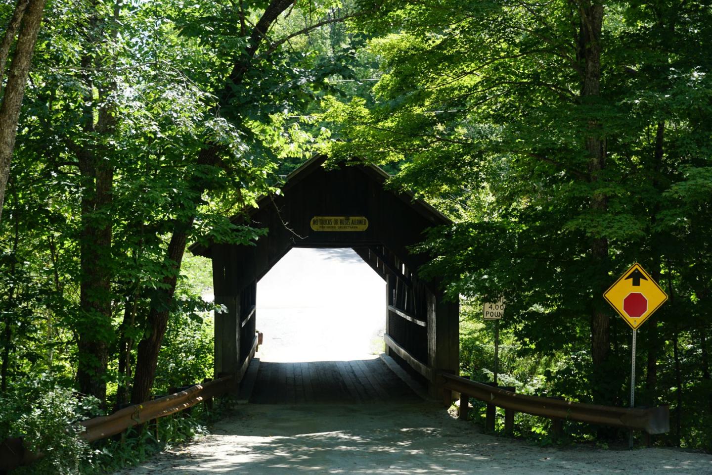 Wooden covered bridge surrounded by lush green trees on a sunny day.