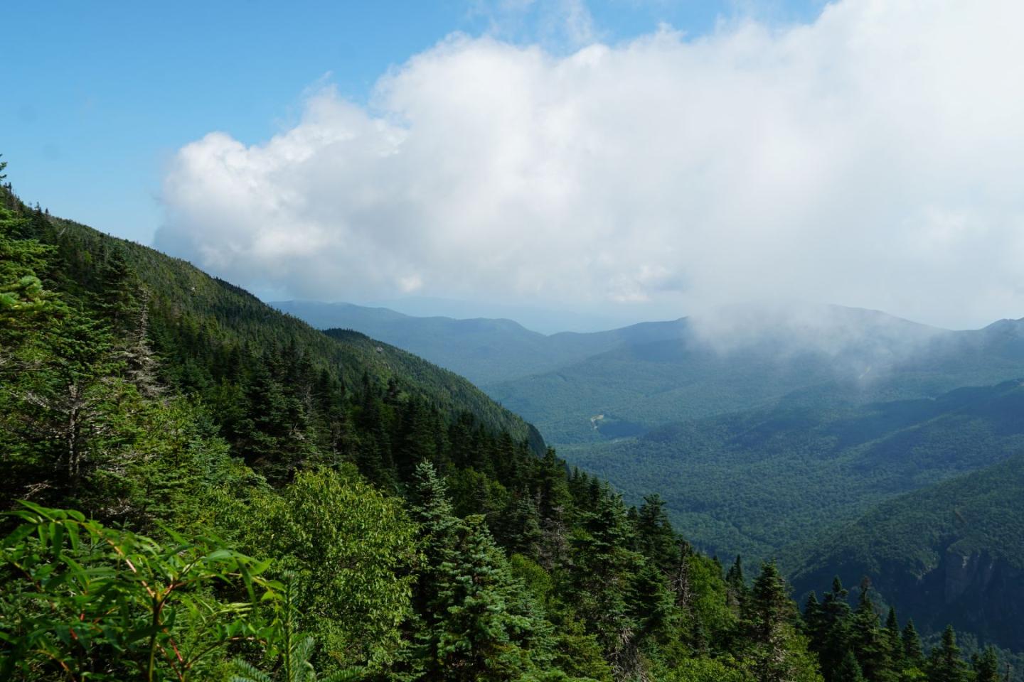 Green mountains with dense trees under a cloudy blue sky.