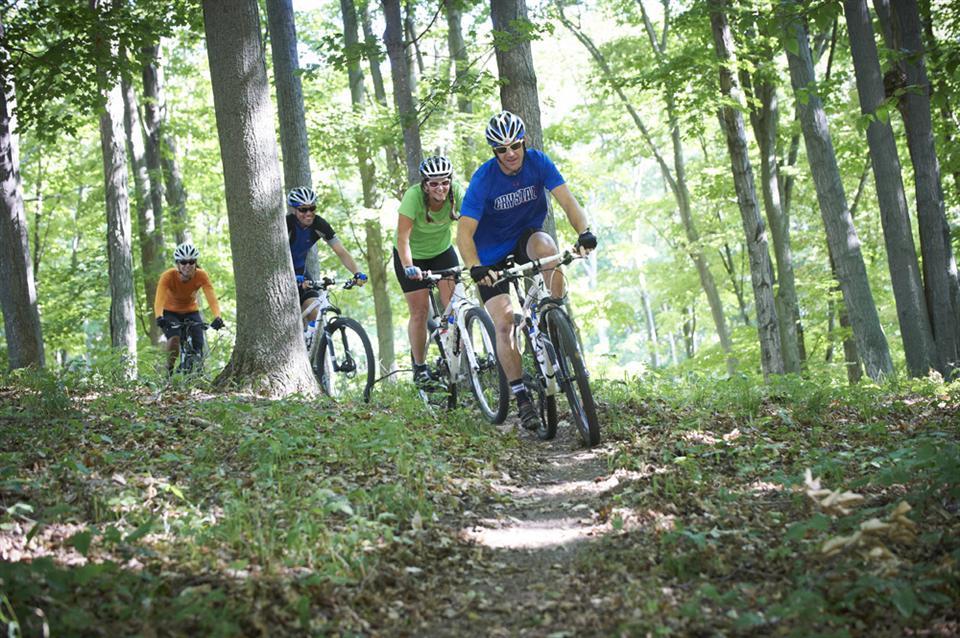 Mountain bikers on trail