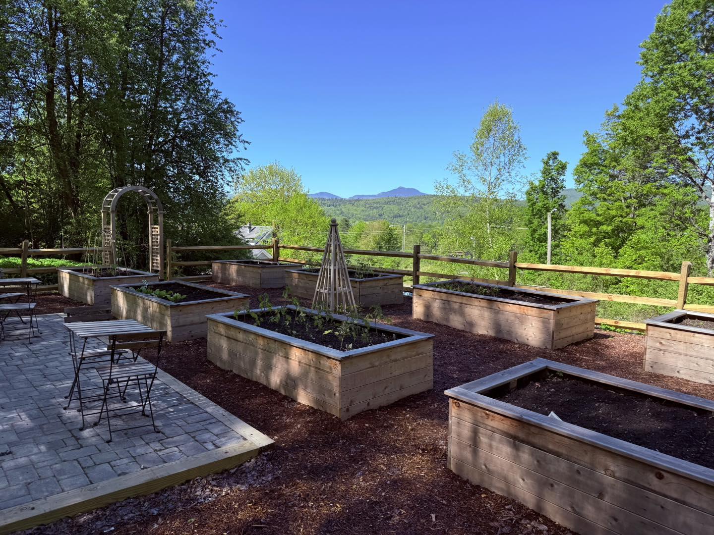 Raised garden beds on a sunny patio with a mountain view.