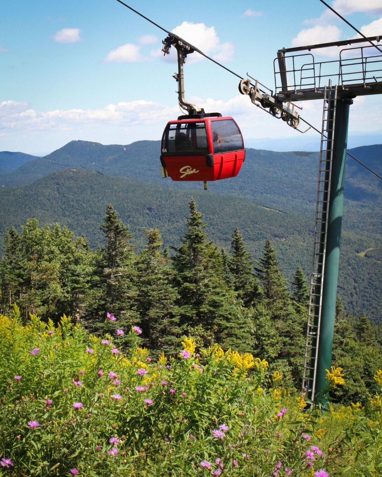 Red cable car over green mountains and trees under a blue sky.