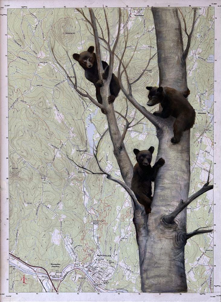 Antique land map with a tree and three bear cubs painted on it.