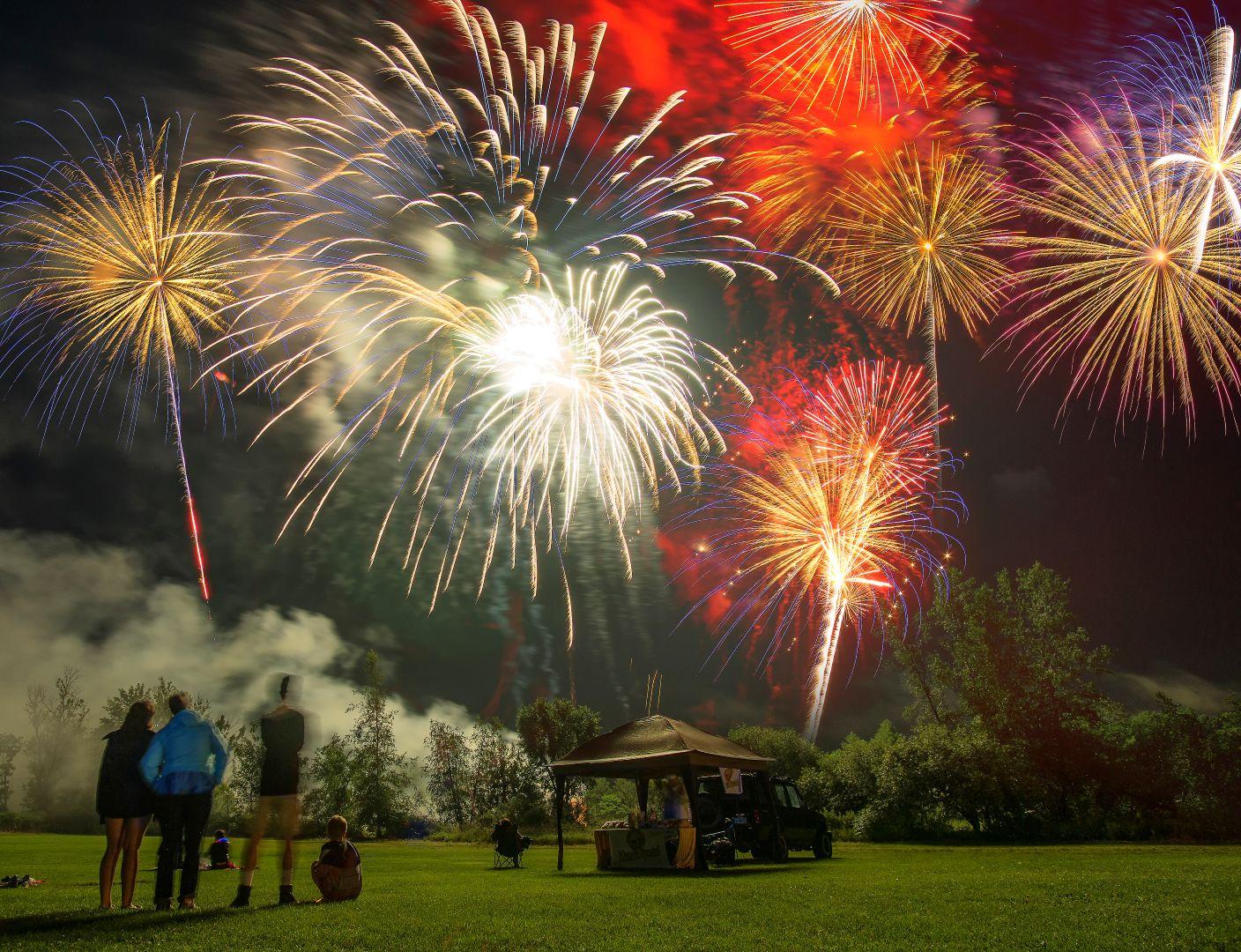 Fireworks light up a night sky over a grassy field with people watching.