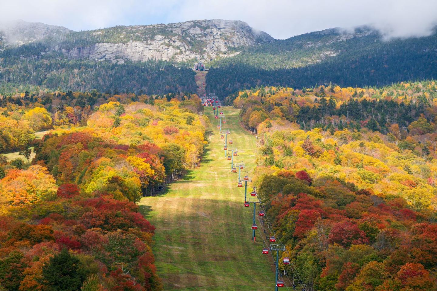 Autumn landscape with colorful trees and distant mountains under a cloudy sky.