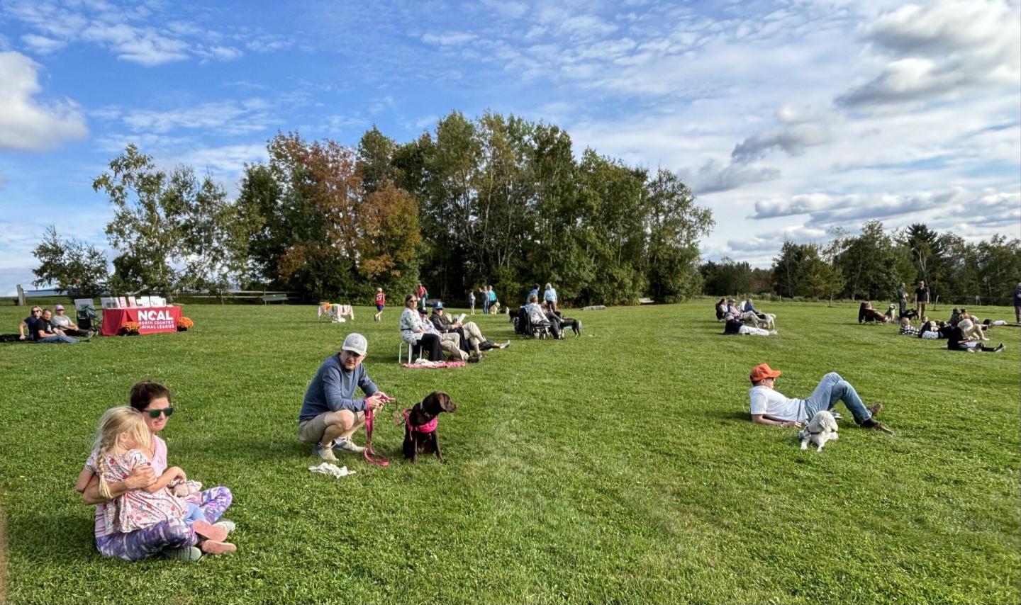 People relaxing on a grassy field under a blue sky with scattered clouds.