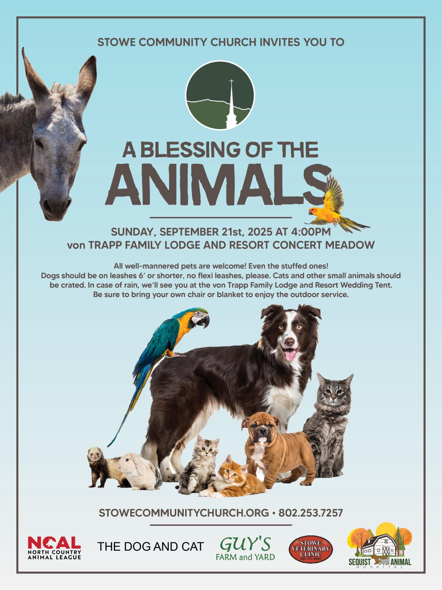 Donkey, parrot, dog, cat, and a bird with event details on blue backdrop.