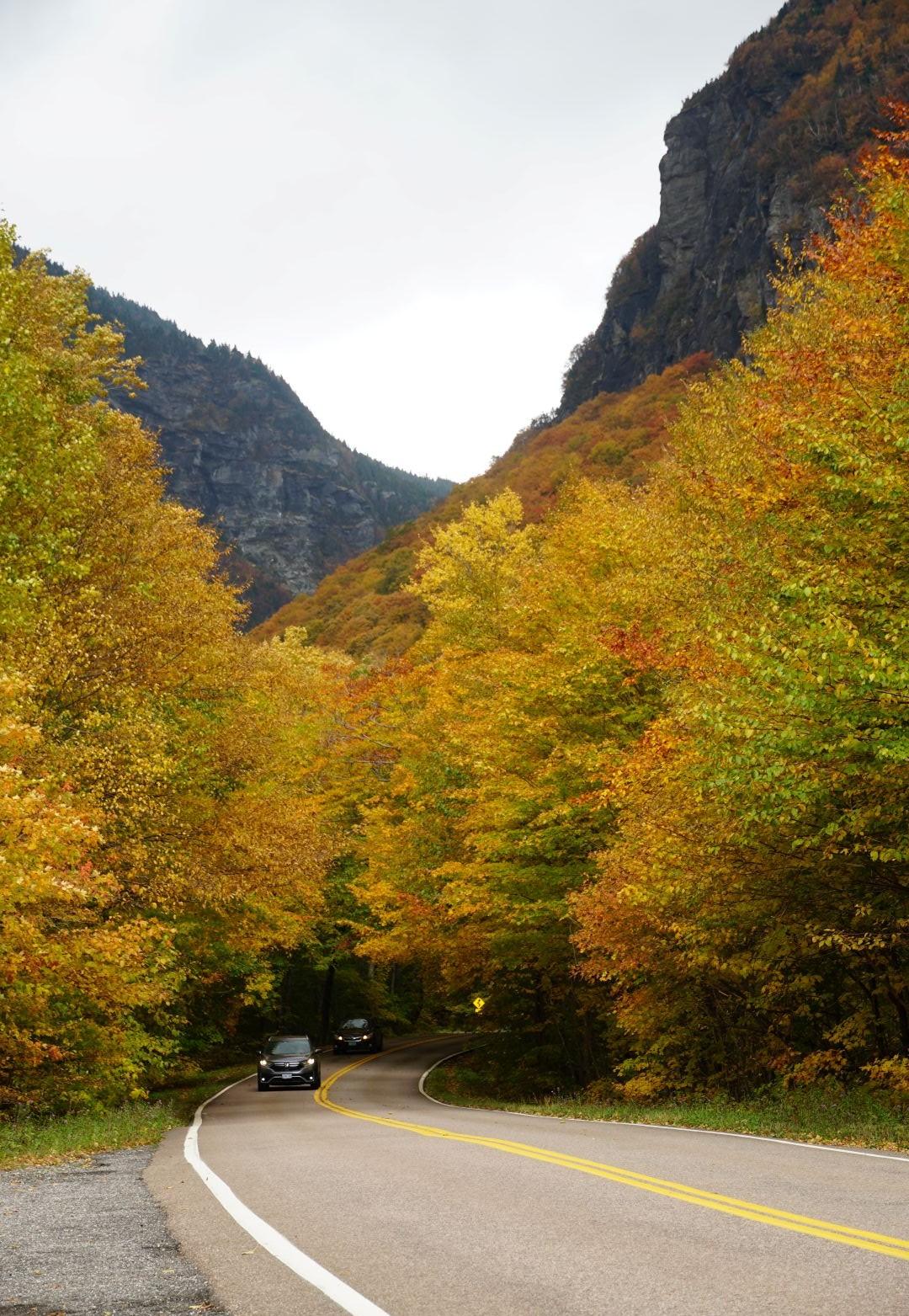 Winding road through vibrant autumn foliage in a mountainous valley.