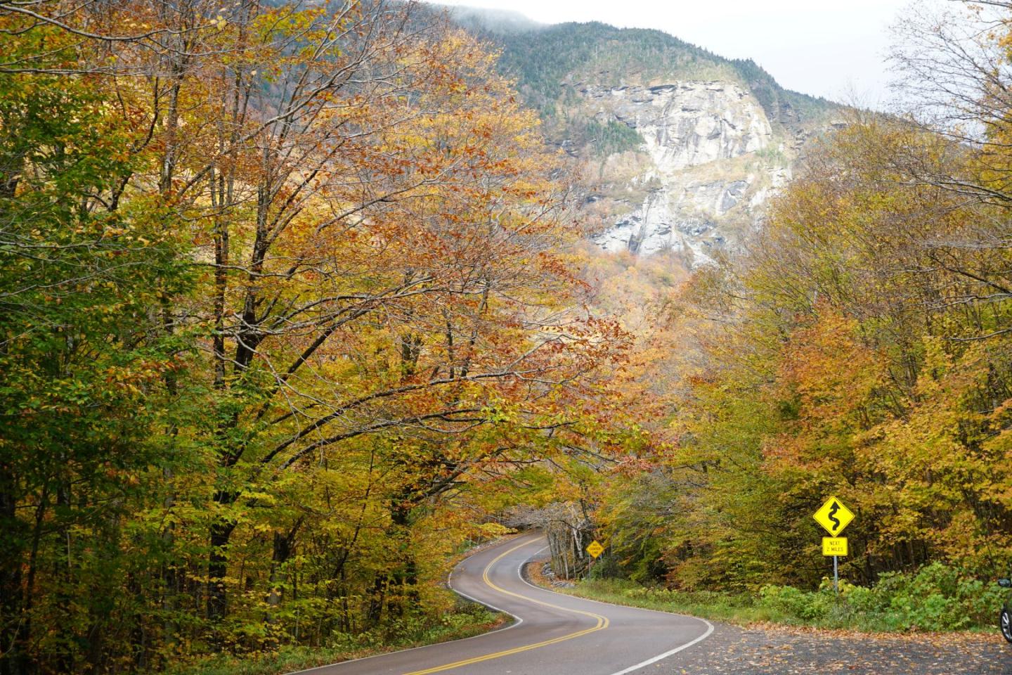 Winding road through colorful autumn trees and distant mountain backdrop.