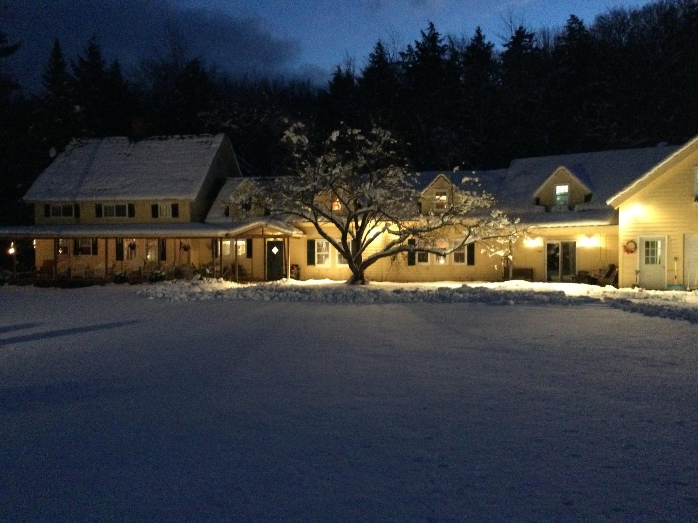 Snow-covered house and tree illuminated at night.