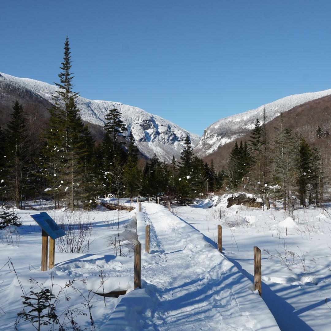 Snowy path through a mountain forest under a clear blue sky.